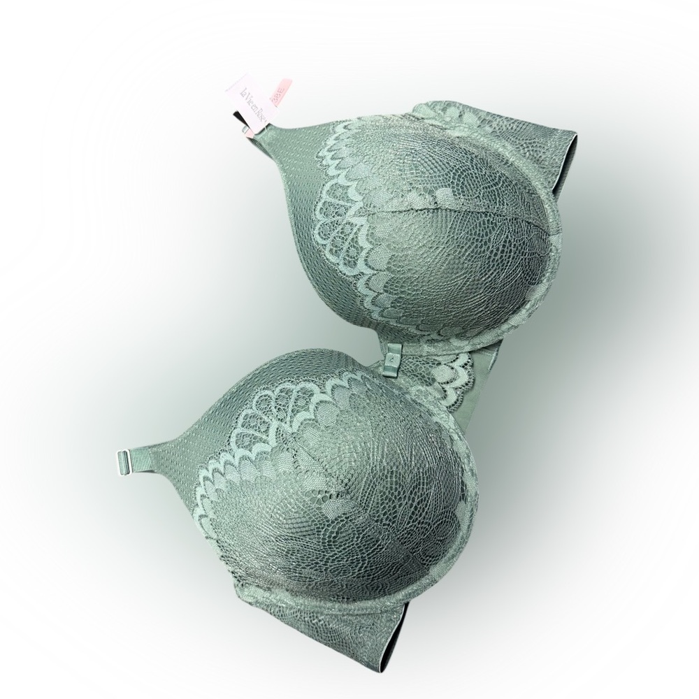 NWT La Vie En Rose Lace Bra in Soft Green 38E